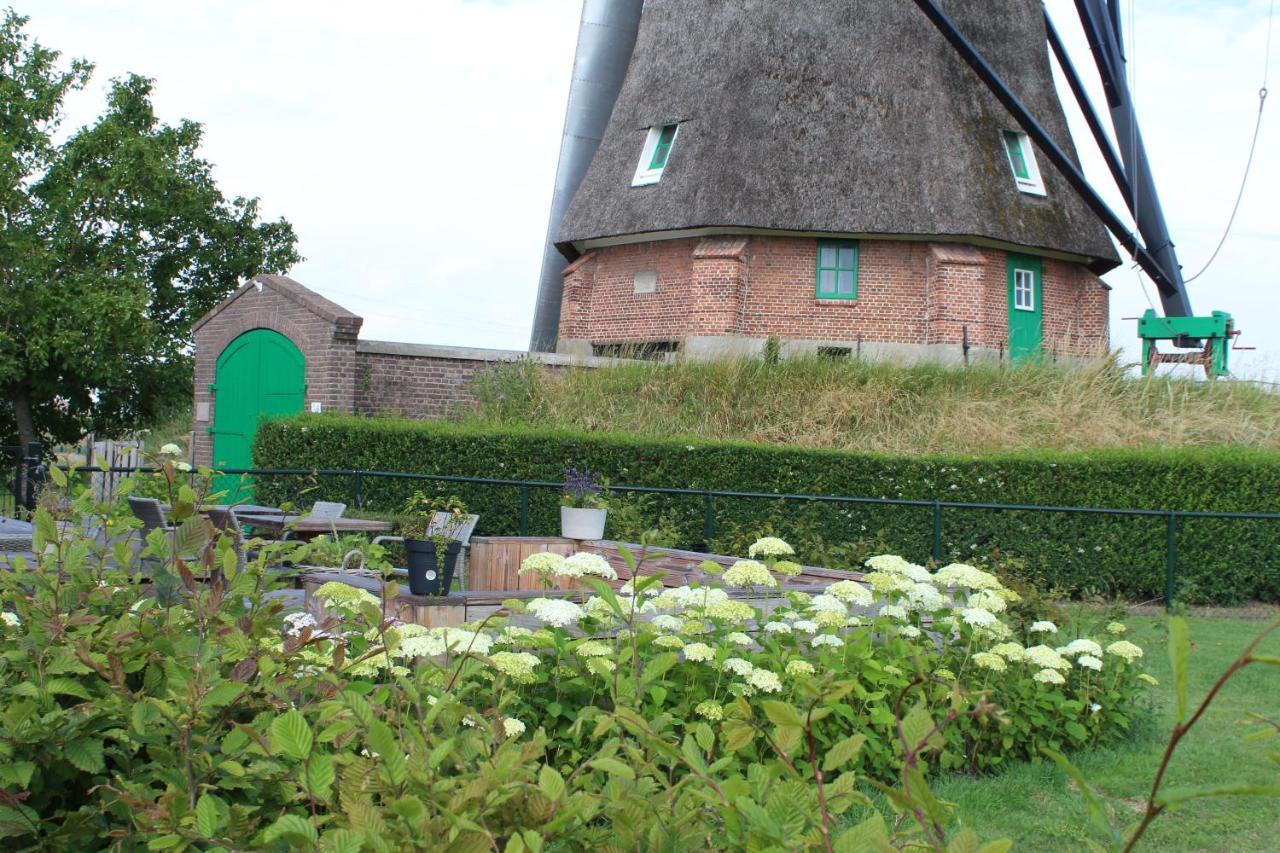Bij Molen De Blazekop, Rustig En Landelijk Ovezande Esterno foto