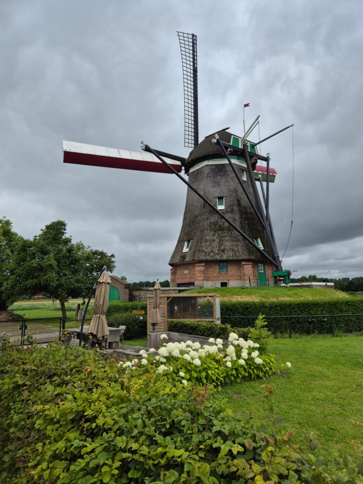 Bij Molen De Blazekop, Rustig En Landelijk Ovezande Esterno foto